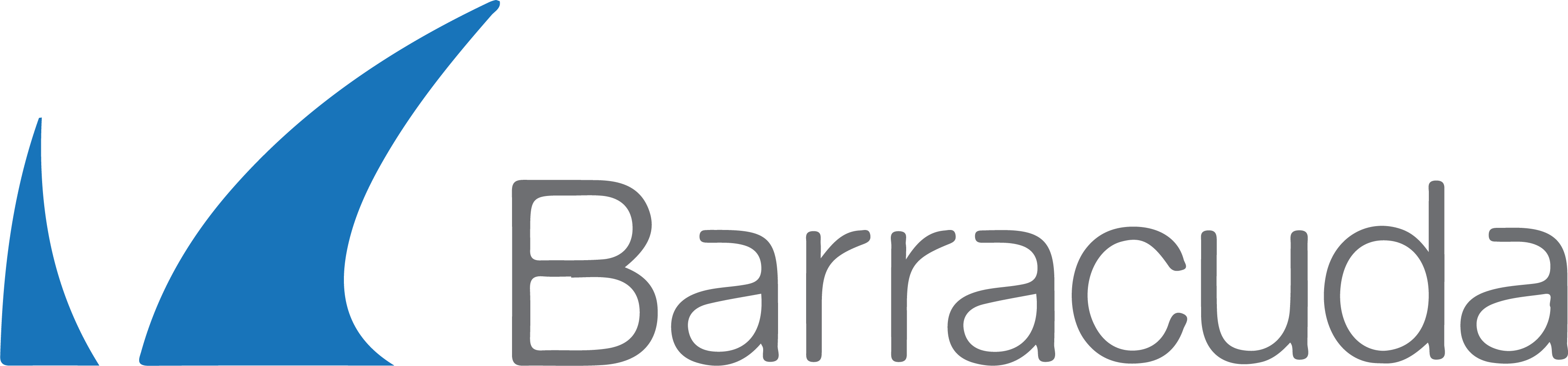 Barracuda networks Logo